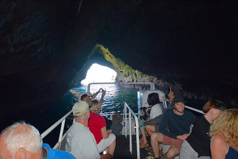 Maria Island Cruise + Walk. Renowned Day Tour With Drinks And Guided Walk - Holiday Cairns 11