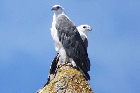 Maria Island Cruise + Walk. Renowned Day Tour With Drinks And Guided Walk - Holiday Cairns 3