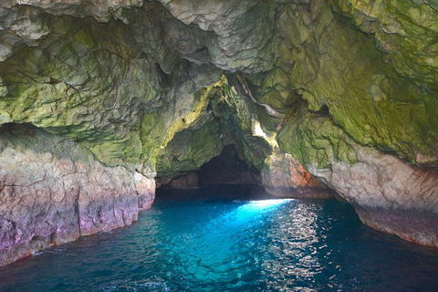 Maria Island Cruise + Walk. Renowned Day Tour With Drinks And Guided Walk - Holiday Cairns 5