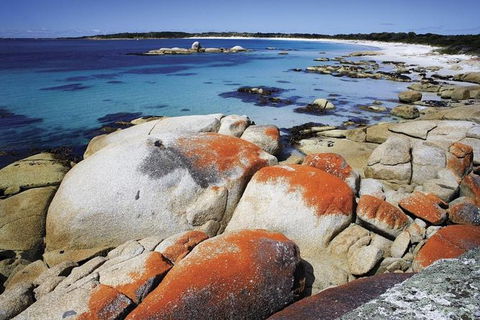 Highlights Of Tasmania 5-Day Small-Group Tour From Hobart - Holiday Cairns 1