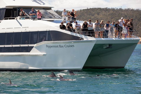 The Peppermint Bay Lunch Cruise From Hobart - Holiday Cairns 0