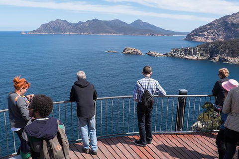 Full-Day Tour To Wineglass Bay From Hobart - Holiday Cairns 6