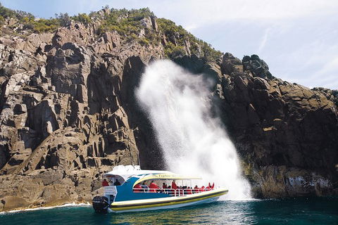3-Hour Bruny Island Cruise From Adventure Bay - Holiday Cairns 6