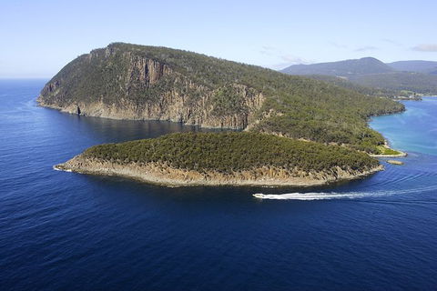 3-Hour Bruny Island Cruise From Adventure Bay - Holiday Cairns 7