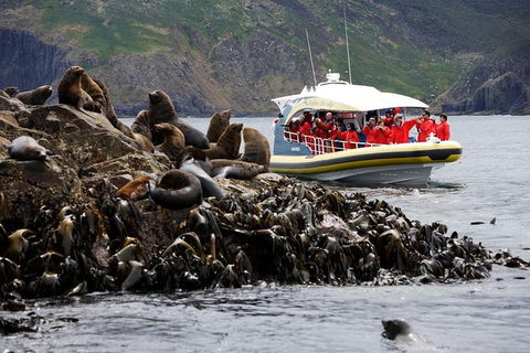 3-Hour Bruny Island Cruise From Adventure Bay - Holiday Cairns 2
