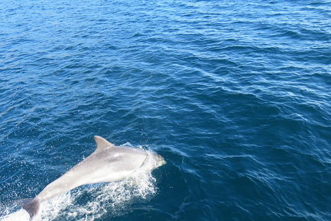 North Bruny Island Day Sail - Holiday Cairns 3