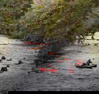 Meander Wilderness Experiences - Holiday Cairns
