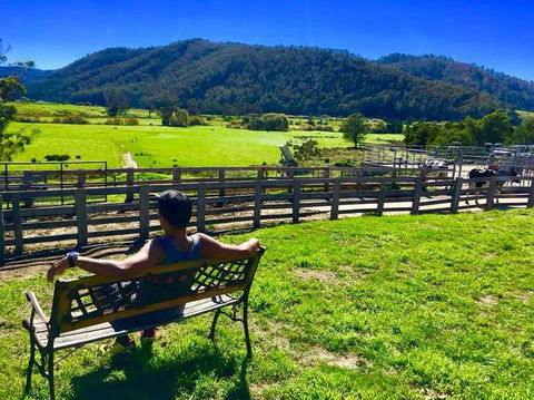 5-Day Lap Of Tasmania Tour From Hobart (flexible Ticket) - Holiday Cairns 2