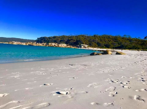 5-Day Lap Of Tasmania Tour From Hobart (flexible Ticket) - Holiday Cairns 6