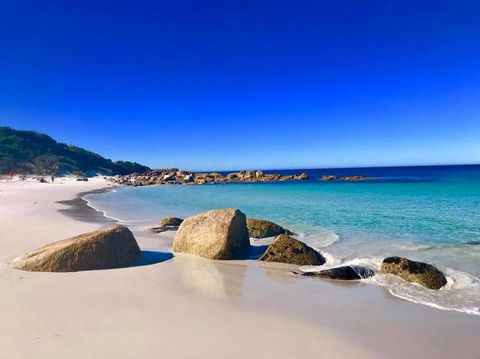 5-Day Lap Of Tasmania Tour From Hobart (flexible Ticket) - Holiday Cairns 5