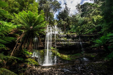 5-Day Lap Of Tasmania Tour From Hobart (flexible Ticket) - Holiday Cairns 11