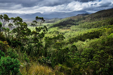 5-Day Lap Of Tasmania Tour From Hobart (flexible Ticket) - Holiday Cairns 16