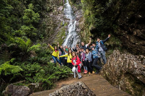 5-Day Lap Of Tasmania Tour From Hobart (flexible Ticket) - Holiday Cairns 14