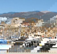 Private Mt Wellington Richmond Bonorong Wildlife Sanctuary Tour from Hobart - Holiday Cairns