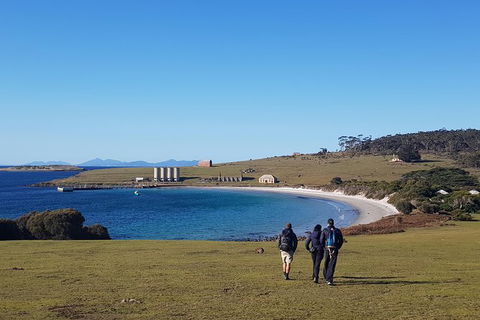 6-Day Best Of Tasmania Hiking Tour From Hobart - Holiday Cairns 1