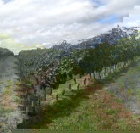 Coal River Valley  Hobart food  wine grazing tour - Holiday Cairns