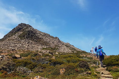 Hartz Peak Hiking Tour - Hartz Mountains National Park - Holiday Cairns 0