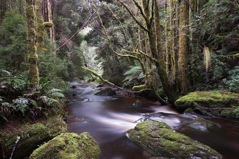 Spotlight Tour (2 Hours, $120 Per Person) - Holiday Cairns 6