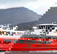 Mt Wellington and Harbour Cruise combo - Holiday Cairns