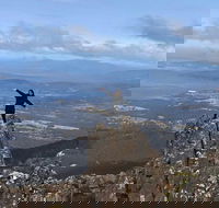 Mt Wellington ONE WAY WALKERS Tour great option for bushwalkers - Holiday Cairns