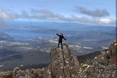 Mt Wellington ONE WAY WALKERS Tour, Great Option For Bushwalkers - Holiday Cairns 0