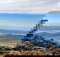 Mt Wellington and City Sights combo tour Hobart history  views in one day - Holiday Cairns