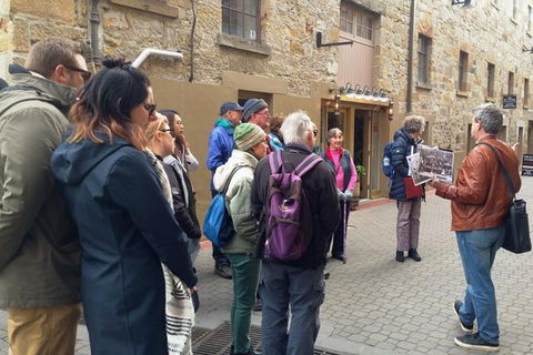 Salamanca Walk - History Tour - Holiday Cairns 0