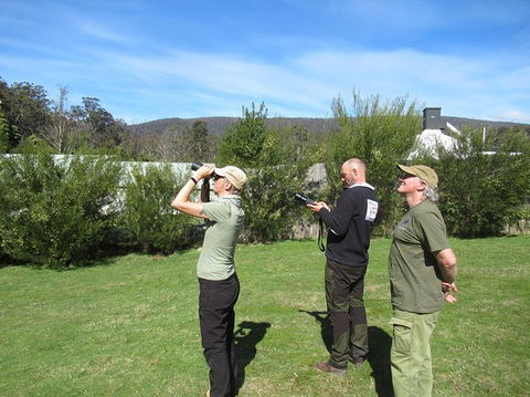 Wildlife Day Tour (4+ Hours, $195 Per Person) - Holiday Cairns 9