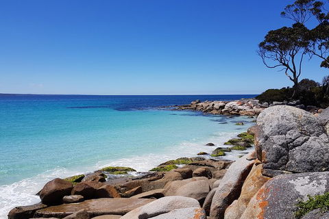 Tasmania 4 Day East Coast + Launceston - Holiday Cairns 0