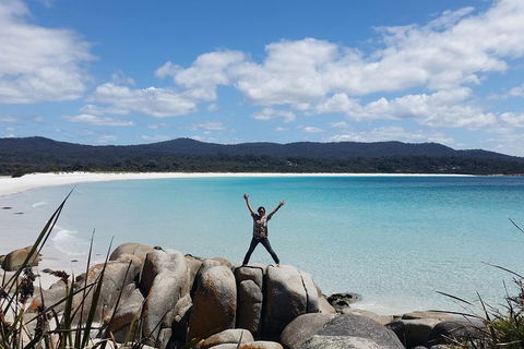 Tasmania 4 Day East Coast + Launceston - Holiday Cairns 5