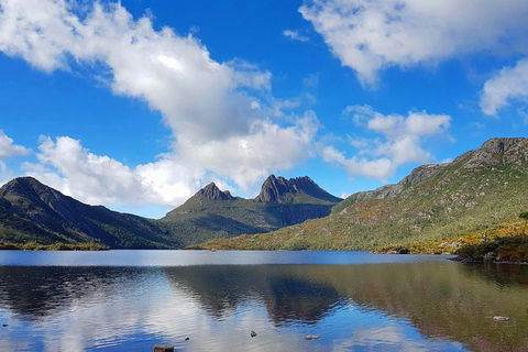 Tasmania 13 Day Premium Tour - Holiday Cairns 0