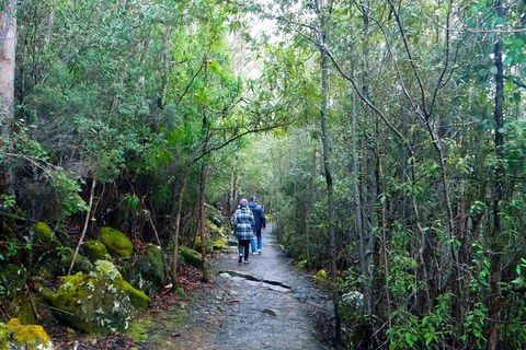 Kunanyi/Mt Wellington Tour & Hobart Hop-On Hop-Off Bus - Holiday Cairns 5