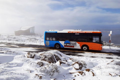 Kunanyi/Mt Wellington Tour & Hobart Hop-On Hop-Off Bus - Holiday Cairns 4