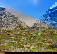 3-Day Hobart Adventure Tour Mount Field Cape Hauy and Hartz Peak - Holiday Cairns