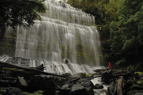 Guided Shore Excursion: Mt Field National Park Salmon Ponds Bonorong Wildlife - Holiday Cairns 0