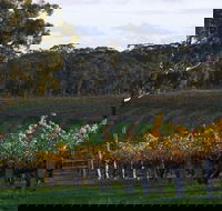 Barossa Valley with Hahndorf Tour from Adelaide - Holiday Cairns