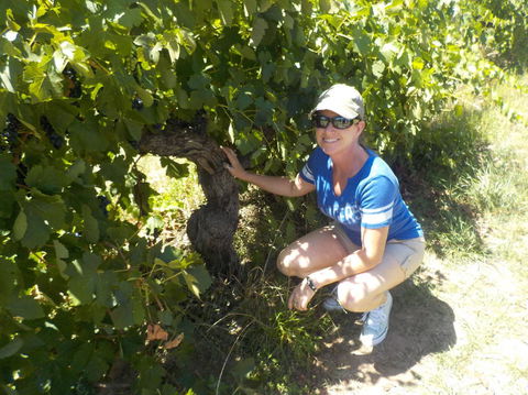 Barossa Valley Wineries Tour With Tastings And Lunch From Adelaide - Holiday Cairns 11