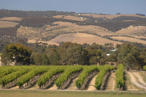 McLaren Vale And Glenelg Wine Tasting And Sightseeing (Half-day Afternoon) - Holiday Cairns 9
