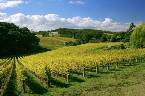 McLaren Vale And Glenelg Wine Tasting And Sightseeing (Half-day Afternoon) - Holiday Cairns 6