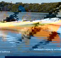 Adelaide Dolphin Sanctuary and Ships Graveyard Kayak Tour - Holiday Cairns