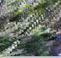 Self-Guided Waterfall Gully to Mount Lofty Hike from Adelaide - Holiday Cairns
