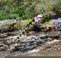 Small Group Bush Walk  BBQ with Wine Day Trip from Adelaide - Holiday Cairns
