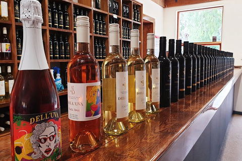Barossa Valley Highlights From Adelaide Including Wine And Cheese Tasting - Holiday Cairns 10