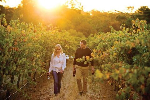 Barossa Valley Highlights From Adelaide Including Wine And Cheese Tasting - Holiday Cairns 11