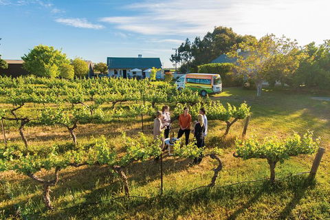 Barossa Valley Highlights From Adelaide Including Wine And Cheese Tasting - Holiday Cairns 14