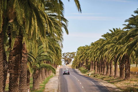 Barossa Valley Highlights From Adelaide Including Wine And Cheese Tasting - Holiday Cairns 3