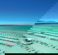 Coffin Bay Day Tour - A Taste of Coffin Bay - Holiday Cairns