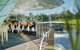 Adelaide Riverbank Guided Segway Tour - thumb 7
