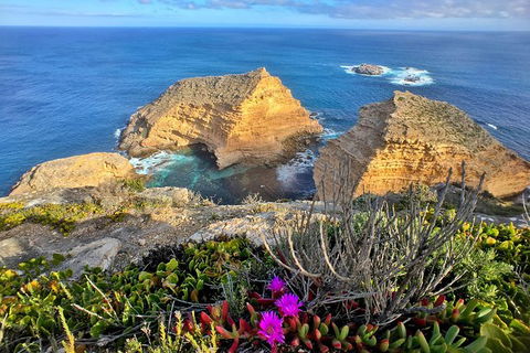 One Day Port Lincoln Tour - Tasting Eyre - Holiday Cairns 1