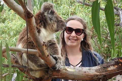 One Day Port Lincoln Tour - Tasting Eyre - Holiday Cairns 0
